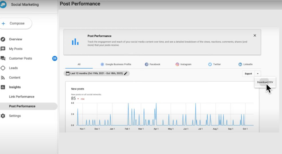 Social Media Manager: Insights